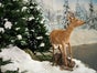 Reh - Tierpräparat für Wald Ausstattungen / Dekorationen - Galerie - Bild 2