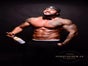 Sexy Stripper LEIF - charmanter Muskelmann - Galerie - Bild 4