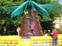 Kletterpalme / Kletterberg -  inkl. 19% MwSt. - Galerie - Bild 3