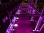 Scheinwerfer, Lichteffekte, Nebelmaschine, AKKU LED Scheinwerfer mieten - Galerie - Bild 2
