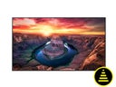 49,5 Zoll 4K UHD Signage Display  Samsung QM50B Display mieten | für gewerbliche Kunden