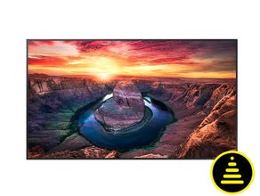 49,5 Zoll 4K UHD Signage Display Samsung QM50B Display mieten | für gewerbliche Kunden
