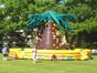 Kletterpalme / Kletterberg - inkl. 19% MwSt. - Galerie - Bild 2