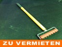 Igelwalze / Stachelwalze - Galerie - Bild 1