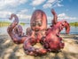 Krake - Octopus, Wasser Dekoration, 3,5m Durchmesser, Meerestiere - Galerie - Bild 2