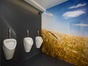 Toilettenwagen Standard+ M - Galerie - Bild 4