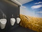 Toilettenwagen Standard+ M - Galerie - Bild 4