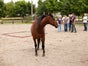 MQ Ranch - Galerie - Bild 2