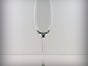 Sektglas (Prestige) - Galerie - Bild 2