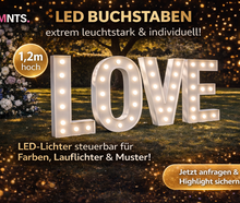 XXL LOVE Buchstaben LED RGB Farben & Effekte 1,2m Höhe