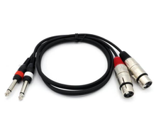 6,3mm Klinke auf XLR female Kabel mieten – Kabel & Adapter