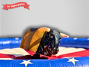 Rodeo Bullriding Eventmodul mieten - Westernreiten - Rodeobulle