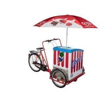 Eisfahrrad