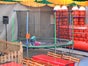 Trampolin FUNRING mit Sicherheitsnetz 4,20 Meter Durchmesser. - Galerie - Bild 2