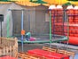 Trampolin FUNRING mit Sicherheitsnetz 4,20 Meter Durchmesser. - Galerie - Bild 2
