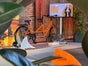 Kopiert - HandbikeSimulator Respekt vor so viel Power – Armkraft statt Beinkraft - Galerie - Bild 4