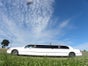 Krystal Coach V 120 weiss - Galerie - Bild 2