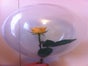 Rose im Ballon inkl.19%MwSt. - Galerie - Bild 4