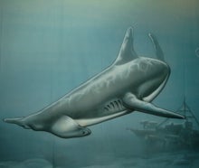 Hammerhai Unterwasser Bühnenbild , Hai