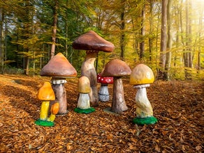 Pilze -  Riesen Pilz Herbst Dekoration