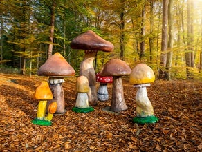 Pilze - Riesen Pilz Herbst Dekoration