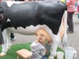Wettmelken / Wettmelkkuh nicht nur für´s Oktoberfest - Galerie - Bild 3