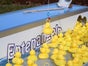 Entenangeln Deluxe - Galerie - Bild 3
