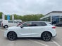 Cupra Terramar 2,0 TSI 265 PS 4Drive - Galerie - Bild 2