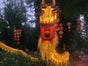 Chinesischer Drache - Tanzdrache - Galerie - Bild 4