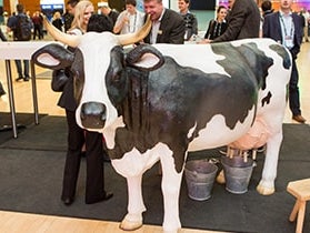 Melkkuh / Wettmelken / Kuh melken mieten - inkl. 19% MwSt.