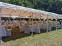 Stühle Polsterstuhl Stuhl mit Polster mieten - Galerie - Bild 4
