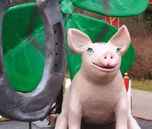 Schwein, Glücksschwein, großes Schwein, Silvesterdekoration, Silvesterglücksbringer, Glücksbringer