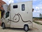 Pferdetransporter 3,5t - Galerie - Bild 2