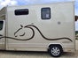 Pferdetransporter 3,5t - Galerie - Bild 2