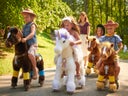 PonyCycle Pony reiten für Firmen Vereine und Privat