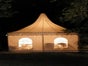Festzelt 5m x 5m - Pagode - weiß mit 50% Sprossenfenster - Galerie - Bild 2