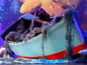 Ruderboot, Paddelboot, Boot, Anglerboot, Angeln, Schiff