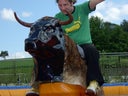 Bullriding - Galerie - Bild 1