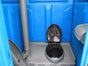 Toilettenkabine "Standard" - Galerie - Bild 2