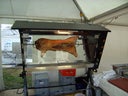 Spanferkelgrill für bis zu 50 kg oder auch Haxen, Enten, Gänse, Hähnchen