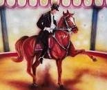 Zirkus Pferd mit Reiter Kulisse, Manege, Cicus, Bild, Kunststücke