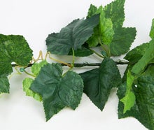 Wein- und Efeuranken, Wein, Weinranken, Efeuranken, Efeu, Blumen, Trauben