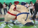 Sumoringen - Sumowrestling inkl.19% MwSt.