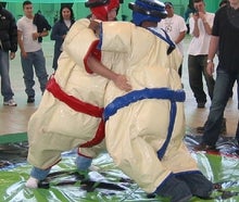 Sumoringen - Sumowrestling inkl.19% MwSt.