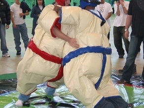 Sumoringen - Sumowrestling inkl.19% MwSt.