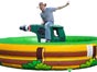 Bullriding / Rodeo - Galerie - Bild 2
