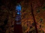 Sprechender Baum - Projektion - Galerie - Bild 2