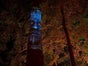 Sprechender Baum - Projektion - Galerie - Bild 2