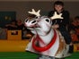 Rentierrodeo - das Bullriding zu Weihnachten inkl. 19% MwSt. - Galerie - Bild 2
