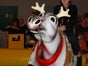 Rentierrodeo - das Bullriding zu Weihnachten inkl. 19% MwSt. - Galerie - Bild 2